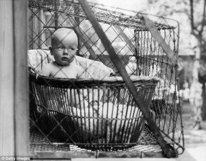 Baby Trump in a Cage