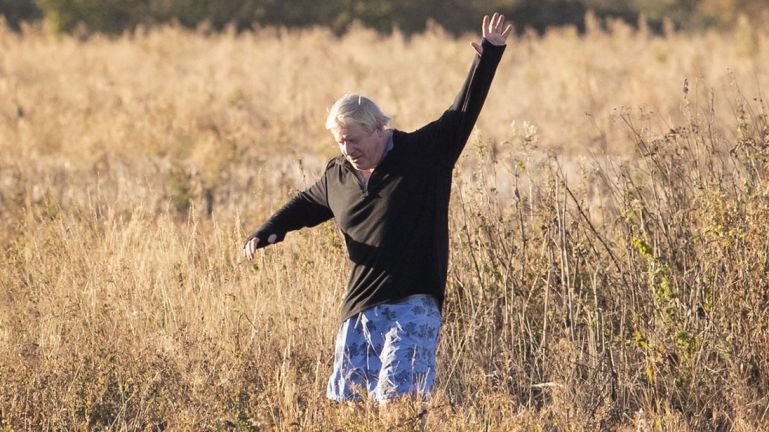 Borris in a Field